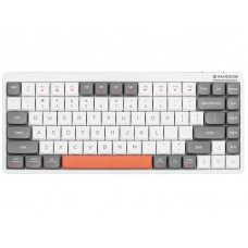 Tracer 47310 FINA 84 White/Grey (Outemu Red Switch)