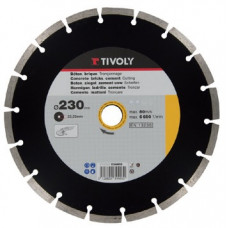 Tivoly Dimanta disks Tivoly segment 230x22.2x2mm