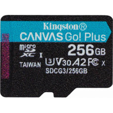 Kingston Memory card microSD 256GB Kingston Canvas Go Plus