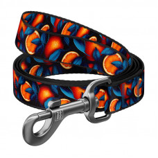 Waudog Nylon dog leash, pattern ''Oranges'' length 122 cm Waudog